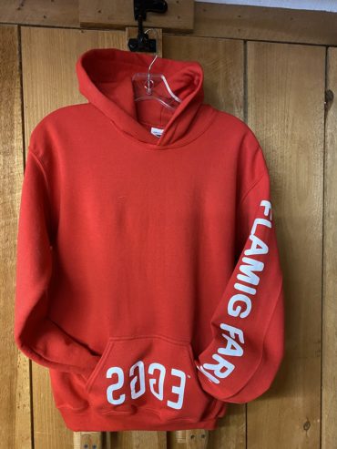 Adult Red Hoodie Sweatshirt